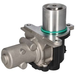 ERG vožtuvas BIRTH 90080