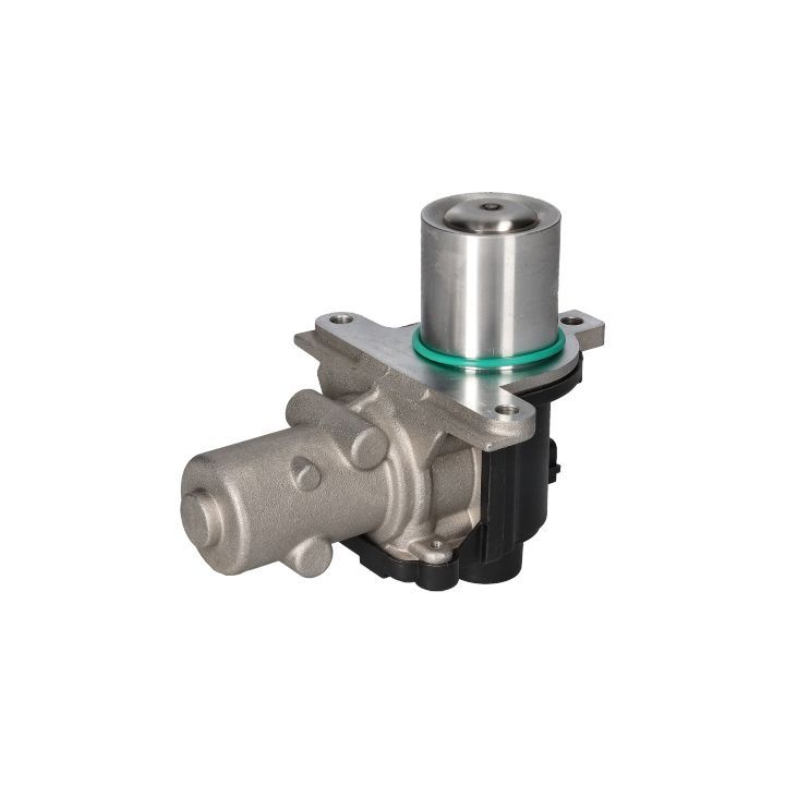 ERG vožtuvas BIRTH 90080