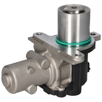 ERG vožtuvas BIRTH 90080