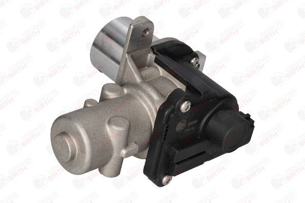 ERG vožtuvas BIRTH 90080