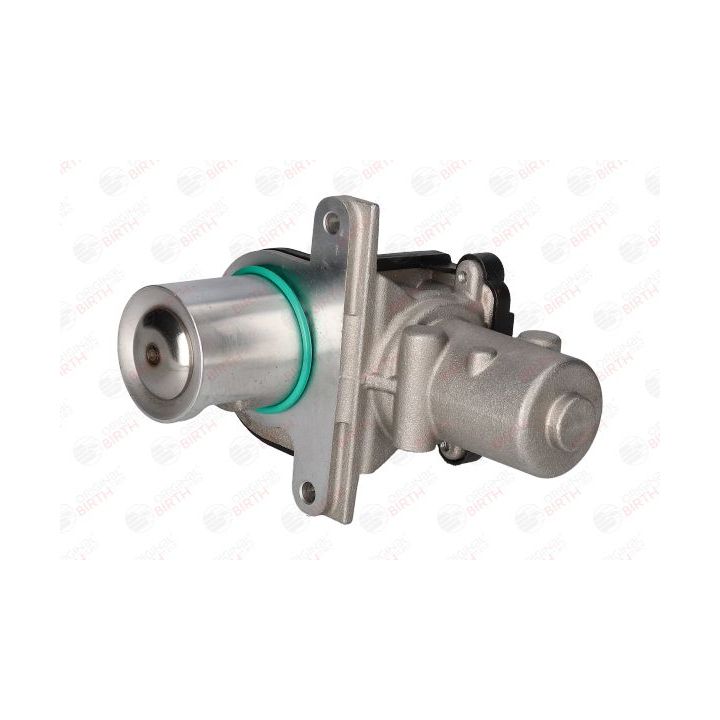 ERG vožtuvas BIRTH 90080