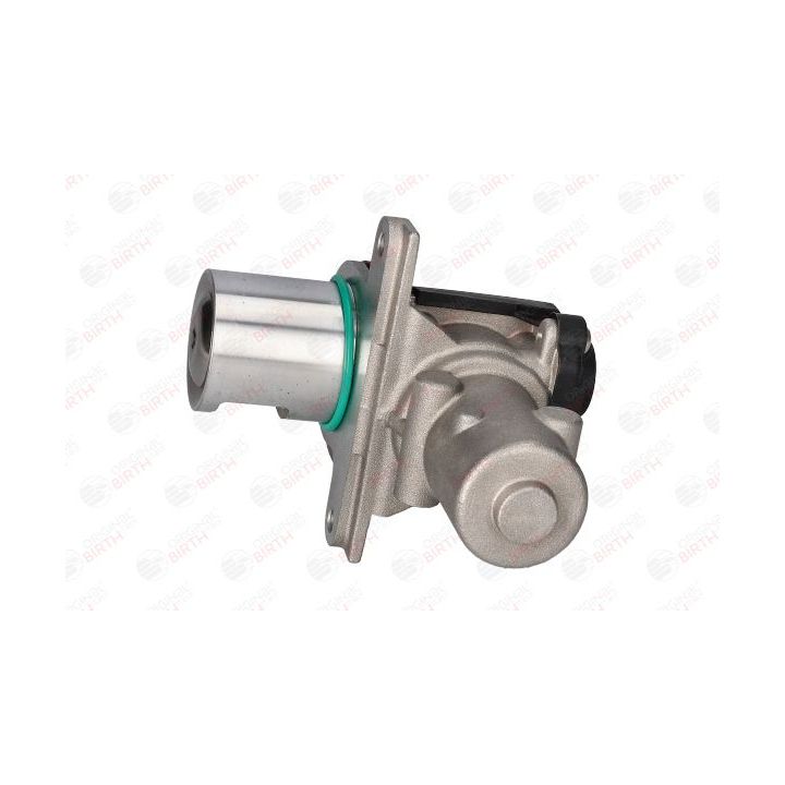 ERG vožtuvas BIRTH 90080