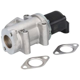 ERG vožtuvas BIRTH 90084