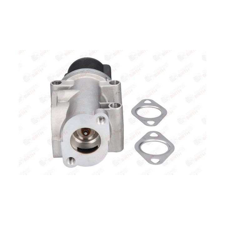 ERG vožtuvas BIRTH 90084