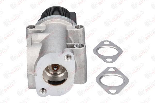 ERG vožtuvas BIRTH 90084