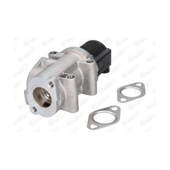 ERG vožtuvas BIRTH 90084