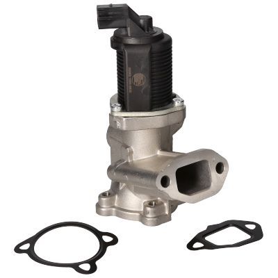 ERG vožtuvas BIRTH 90088