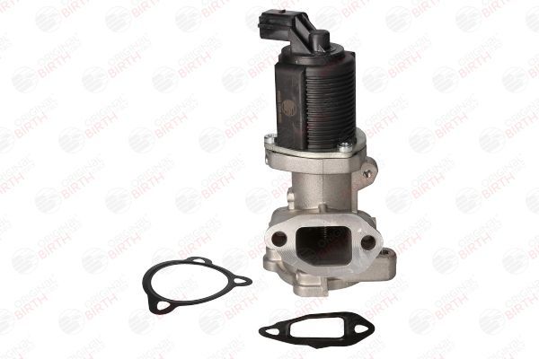 ERG vožtuvas BIRTH 90088