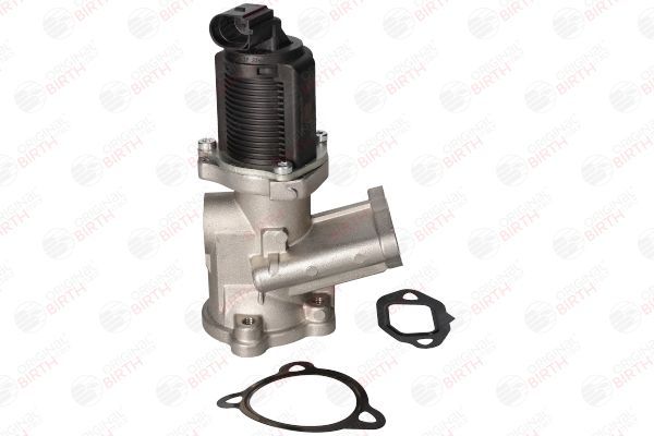 ERG vožtuvas BIRTH 90088