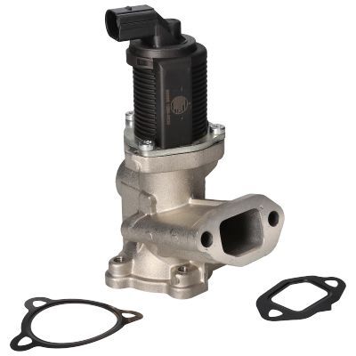 ERG vožtuvas BIRTH 90090