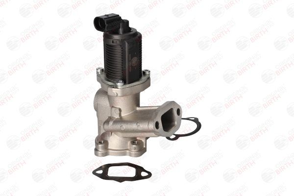 ERG vožtuvas BIRTH 90090