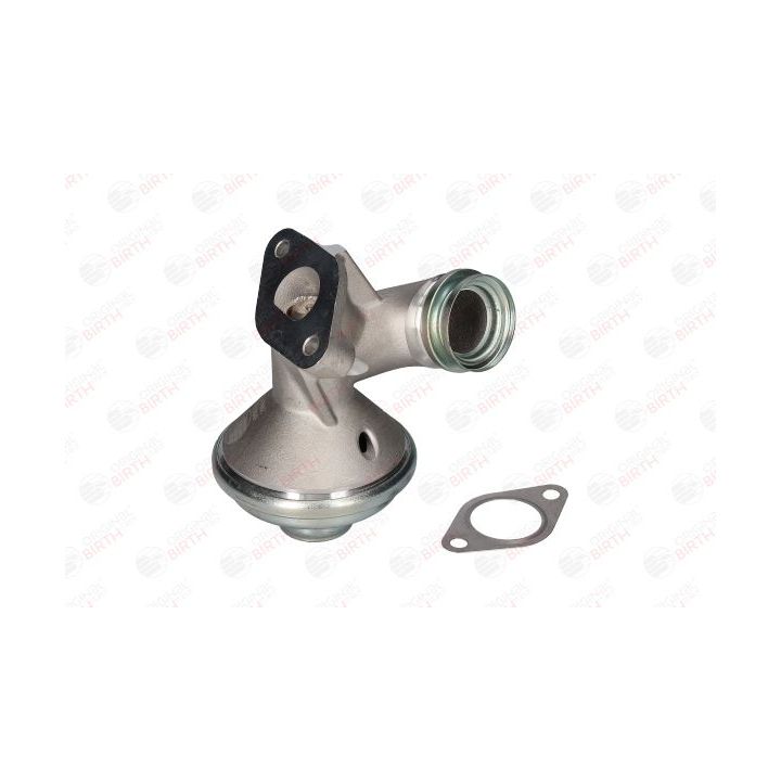 ERG vožtuvas BIRTH 90091