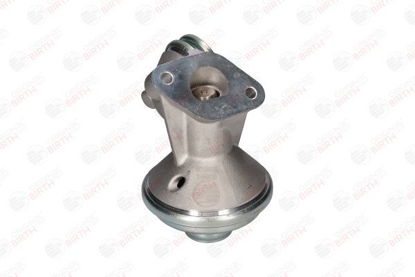 ERG vožtuvas BIRTH 90091