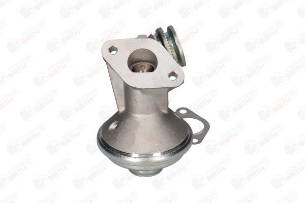 ERG vožtuvas BIRTH 90091