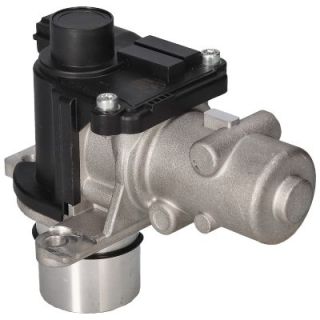 ERG vožtuvas BIRTH 90094