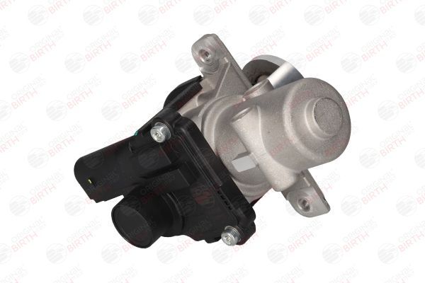 ERG vožtuvas BIRTH 90094