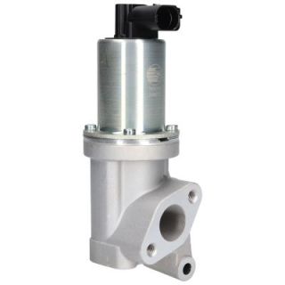 ERG vožtuvas BIRTH 90096