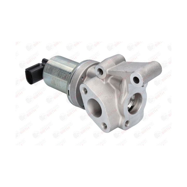 ERG vožtuvas BIRTH 90096