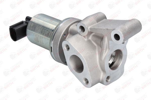 ERG vožtuvas BIRTH 90096