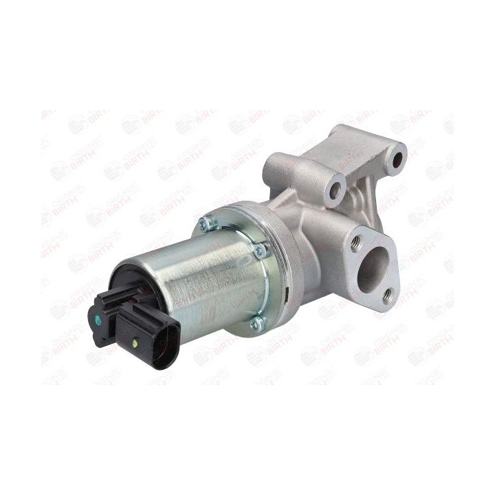 ERG vožtuvas BIRTH 90096