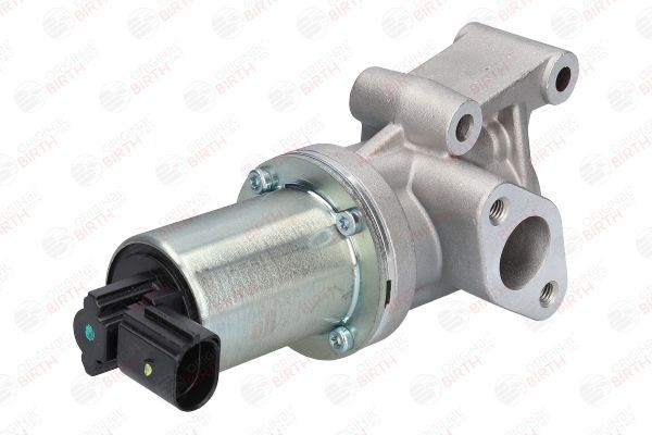 ERG vožtuvas BIRTH 90096