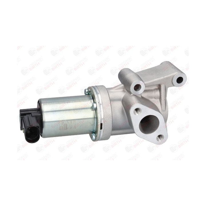 ERG vožtuvas BIRTH 90096