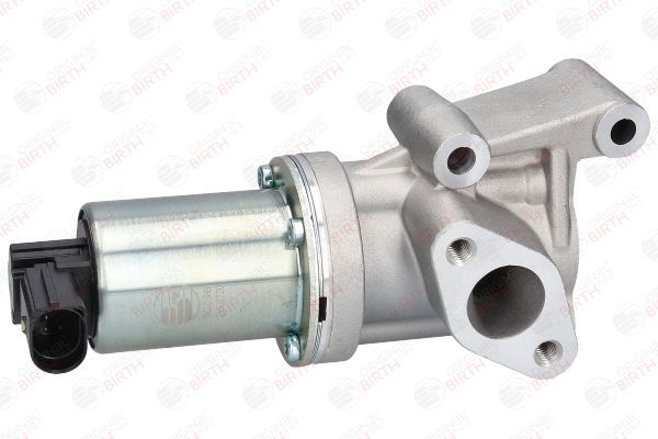 ERG vožtuvas BIRTH 90096