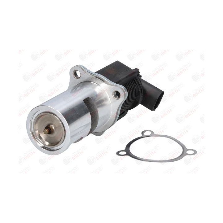 ERG vožtuvas BIRTH 90102