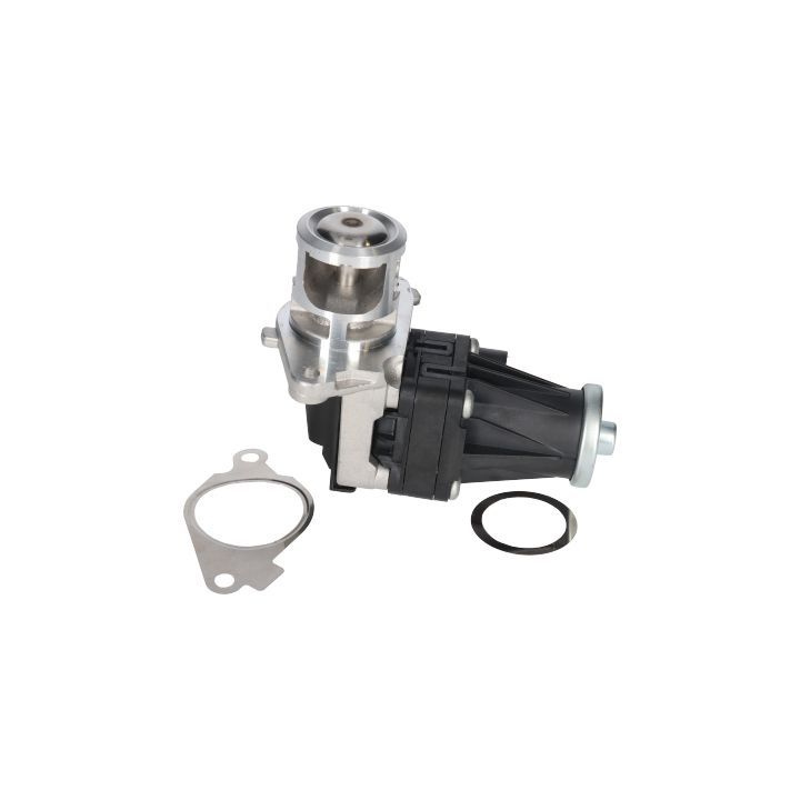 ERG vožtuvas BIRTH 90106