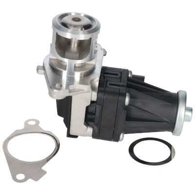 ERG vožtuvas BIRTH 90106