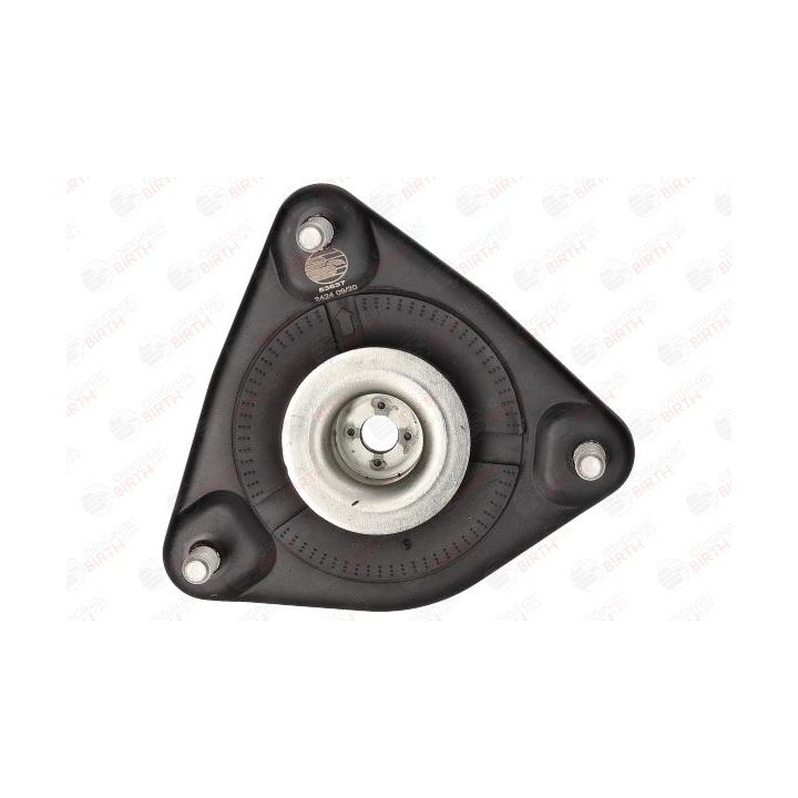 Pakabos statramsčio atraminis guolis BIRTH 53637