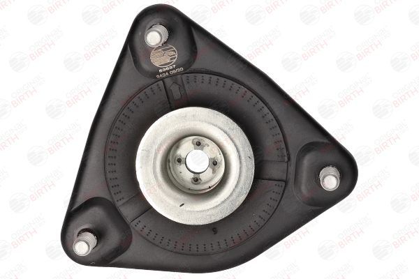 Pakabos statramsčio atraminis guolis BIRTH 53637