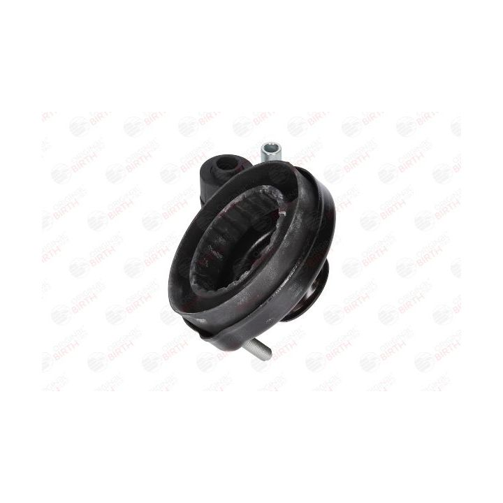 Pakabos statramsčio atraminis guolis BIRTH 53753