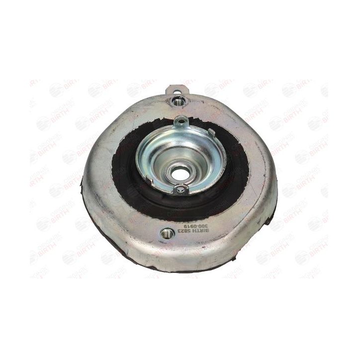 Pakabos statramsčio atraminis guolis BIRTH 5823