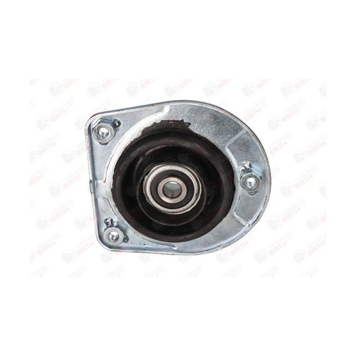 Pakabos statramsčio atraminis guolis BIRTH 5875