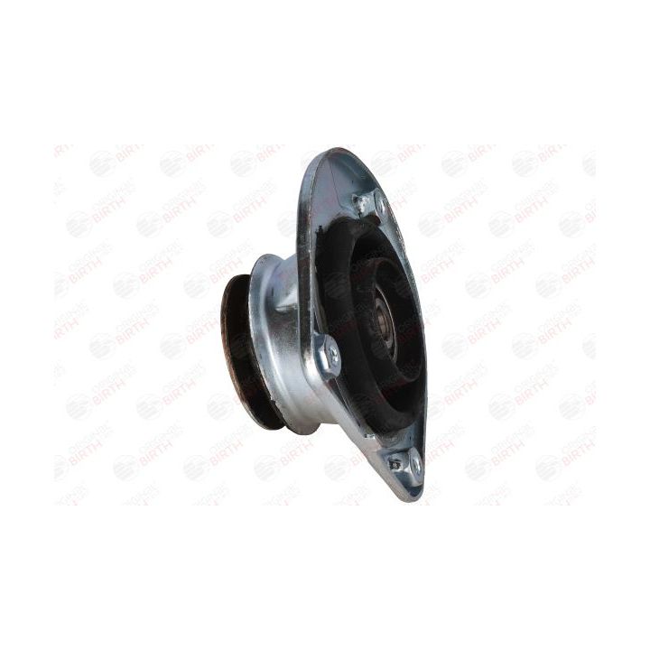 Pakabos statramsčio atraminis guolis BIRTH 5875