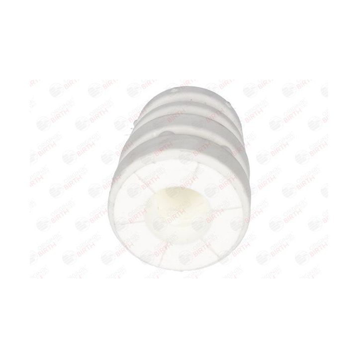 Atraminis buferis, pakaba BIRTH 54398