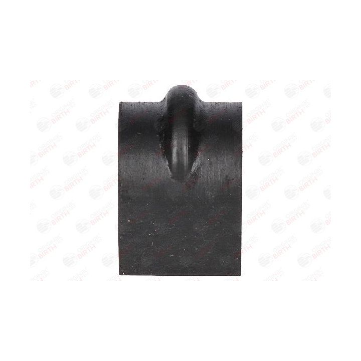 Skersinio stabilizatoriaus įvorių komplektas BIRTH 40031