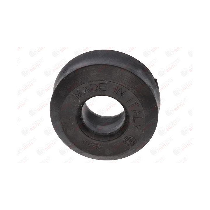 Skersinio stabilizatoriaus įvorių komplektas BIRTH 4004