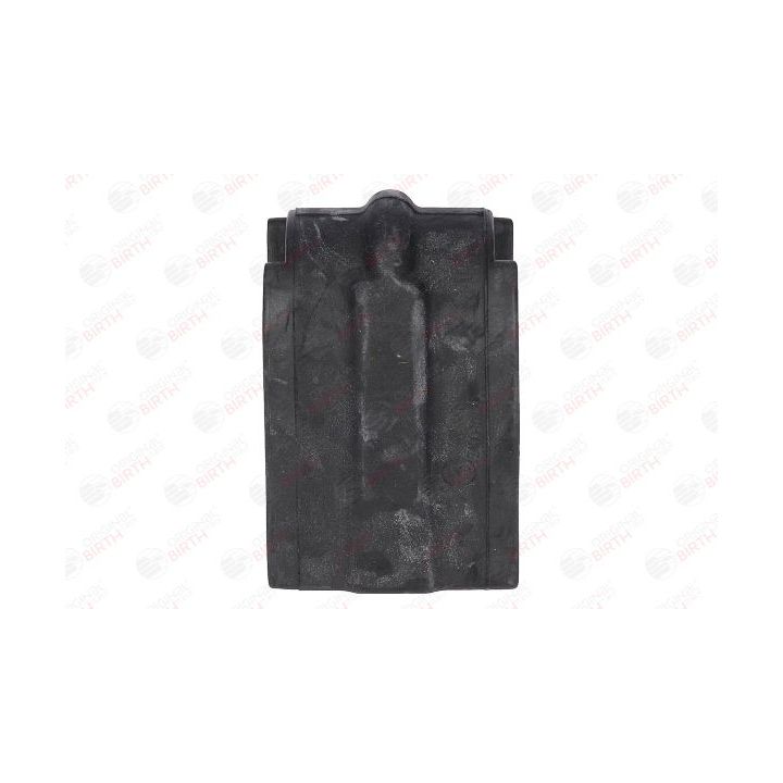 Skersinio stabilizatoriaus įvorių komplektas BIRTH 40093