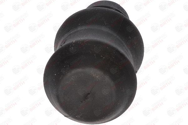 Skersinio stabilizatoriaus įvorių komplektas BIRTH 4306