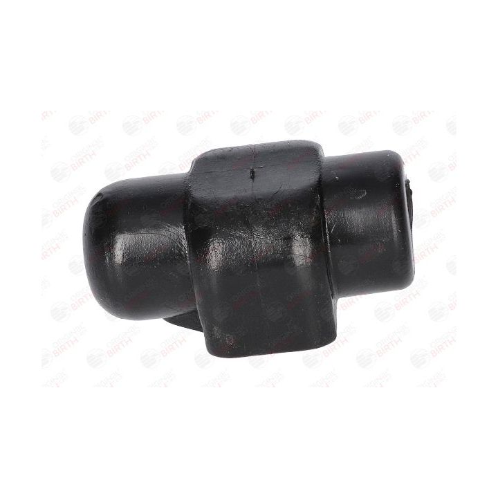 Skersinio stabilizatoriaus įvorių komplektas BIRTH 4310