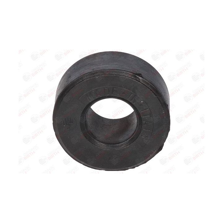 Skersinio stabilizatoriaus įvorių komplektas BIRTH 4360