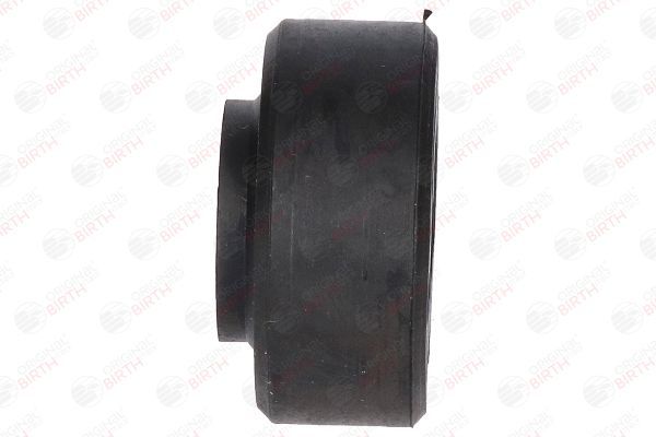 Skersinio stabilizatoriaus įvorių komplektas BIRTH 4360