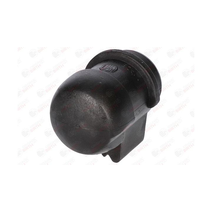 Skersinio stabilizatoriaus įvorių komplektas BIRTH 4516