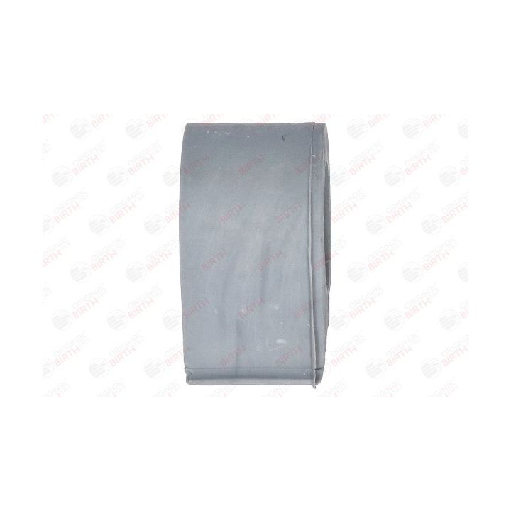 Skersinio stabilizatoriaus įvorių komplektas BIRTH 4592