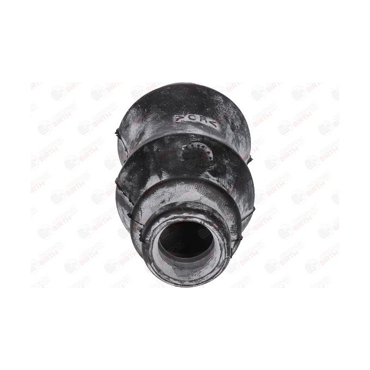 Skersinio stabilizatoriaus įvorių komplektas BIRTH 4666