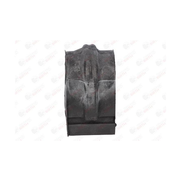 Skersinio stabilizatoriaus įvorių komplektas BIRTH 4887