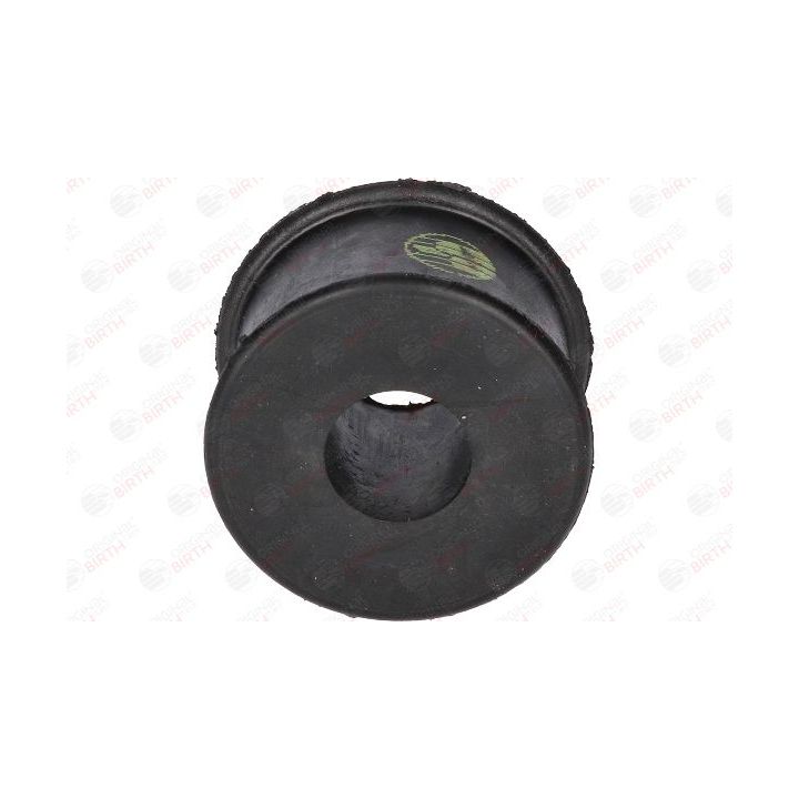 Skersinio stabilizatoriaus įvorių komplektas BIRTH 4890