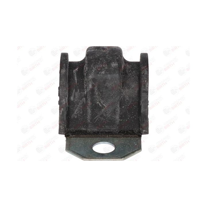 Skersinio stabilizatoriaus įvorių komplektas BIRTH 4933